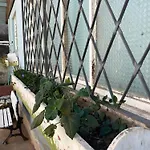 Helena\'S Guest House